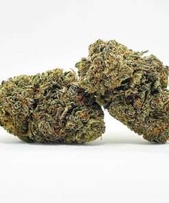 Purple Afghan Kush AAA