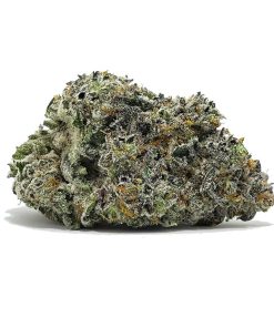 Ice Cream Gelato AAAAA