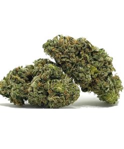 Lemon Sour Diesel AAA