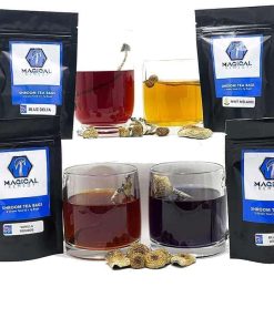 Magical Remedy Shroom Tea Bags – 2g